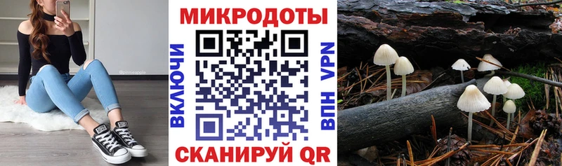 ОМГ ОМГ зеркало  Ужур  Псилоцибиновые грибы GOLDEN TEACHER 
